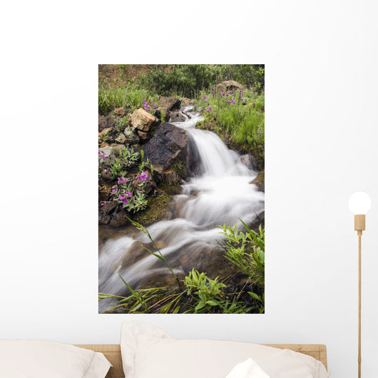 Stream Near Eielson Visitor Center Denali National Park Alaska Wall Mural