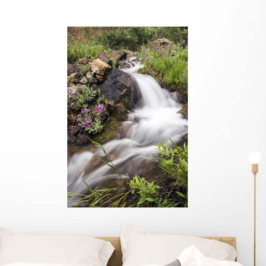 Stream Near Eielson Visitor Center Denali National Park Alaska Wall Mural