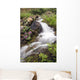 Stream Near Eielson Visitor Center Denali National Park Alaska Wall Mural