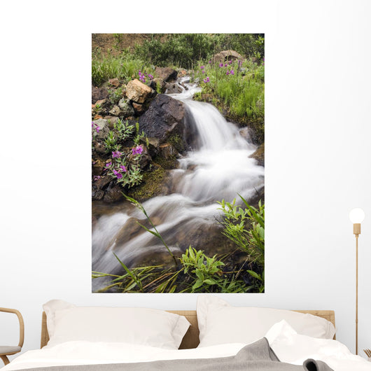 Stream Near Eielson Visitor Center Denali National Park Alaska Wall Mural