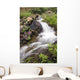 Stream Near Eielson Visitor Center Denali National Park Alaska Wall Mural