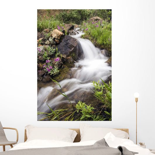 Stream Near Eielson Visitor Center Denali National Park Alaska Wall Mural