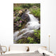 Stream Near Eielson Visitor Center Denali National Park Alaska Wall Mural