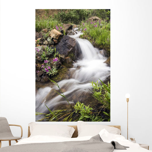 Stream Near Eielson Visitor Center Denali National Park Alaska Wall Mural