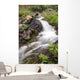 Stream Near Eielson Visitor Center Denali National Park Alaska Wall Mural