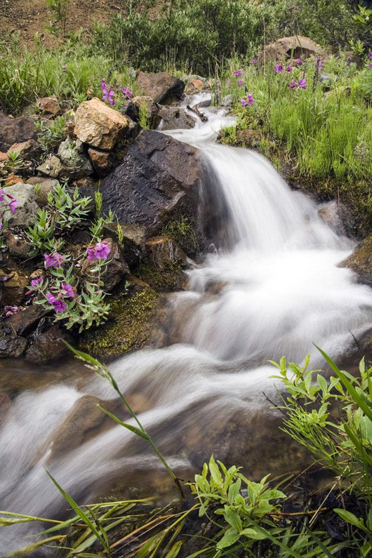 Stream Near Eielson Visitor Center Denali National Park Alaska Wall Mural