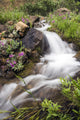 Stream Near Eielson Visitor Center Denali National Park Alaska Wall Mural
