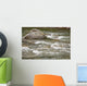 River Water Flowing Downstream Around Rocks Wall Mural