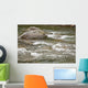 River Water Flowing Downstream Around Rocks Wall Mural