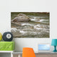 River Water Flowing Downstream Around Rocks Wall Mural