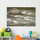 River Water Flowing Downstream Around Rocks Wall Mural