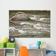 River Water Flowing Downstream Around Rocks Wall Mural