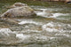 River Water Flowing Downstream Around Rocks Wall Mural