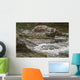 River Water Flowing Downstream Around Rocks Wall Mural