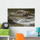 River Water Flowing Downstream Around Rocks Wall Mural