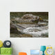 River Water Flowing Downstream Around Rocks Wall Mural