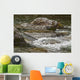 River Water Flowing Downstream Around Rocks Wall Mural