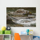River Water Flowing Downstream Around Rocks Wall Mural