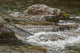 River Water Flowing Downstream Around Rocks Wall Mural