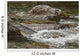 River Water Flowing Downstream Around Rocks Wall Mural
