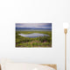 A Kettle Pond Amidst The Summer Tundra Mtmckinley Wall Mural