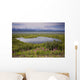A Kettle Pond Amidst The Summer Tundra Mtmckinley Wall Mural