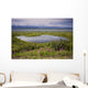 A Kettle Pond Amidst The Summer Tundra Mtmckinley Wall Mural