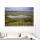 A Kettle Pond Amidst The Summer Tundra Mtmckinley Wall Mural