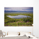 A Kettle Pond Amidst The Summer Tundra Mtmckinley Wall Mural