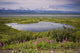 A Kettle Pond Amidst The Summer Tundra Mtmckinley Wall Mural