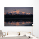 Southside Mt Mckinley And Alaska Range Reflected In Unnamed Lake Wall Mural