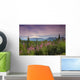 Southside MT McKinley with Fireweed Wall Decal