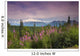 Southside MT McKinley with Fireweed Wall Decal