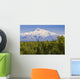 Southside View Of Mt Mckinley Summer, Southcentral, Alaska Wall Mural