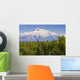 Southside View Of Mt Mckinley Summer, Southcentral, Alaska Wall Mural