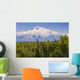 Southside View Of Mt Mckinley Summer, Southcentral, Alaska Wall Mural