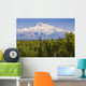 Southside View Of Mt Mckinley Summer, Southcentral, Alaska Wall Mural