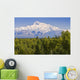 Southside View Of Mt Mckinley Summer, Southcentral, Alaska Wall Mural