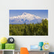 Southside View Of Mt Mckinley Summer, Southcentral, Alaska Wall Mural