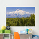 Southside View Of Mt Mckinley Summer, Southcentral, Alaska Wall Mural