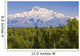 Southside View Of Mt Mckinley Summer, Southcentral, Alaska Wall Mural