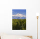 Southside View Of Mt Mckinley Summer, Southcentral, Alaska Wall Mural