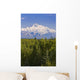 Southside View Of Mt Mckinley Summer, Southcentral, Alaska Wall Mural