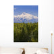 Southside View Of Mt Mckinley Summer, Southcentral, Alaska Wall Mural