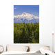 Southside View Of Mt Mckinley Summer, Southcentral, Alaska Wall Mural