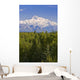 Southside View Of Mt Mckinley Summer, Southcentral, Alaska Wall Mural