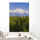 Southside View Of Mt Mckinley Summer, Southcentral, Alaska Wall Mural