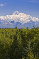 Southside View Of Mt Mckinley Summer, Southcentral, Alaska Wall Mural
