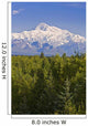 Southside View Of Mt Mckinley Summer, Southcentral, Alaska Wall Mural
