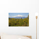 Southside View Of Mt Mckinley, Autumn, Southcentral, Alaska Wall Mural